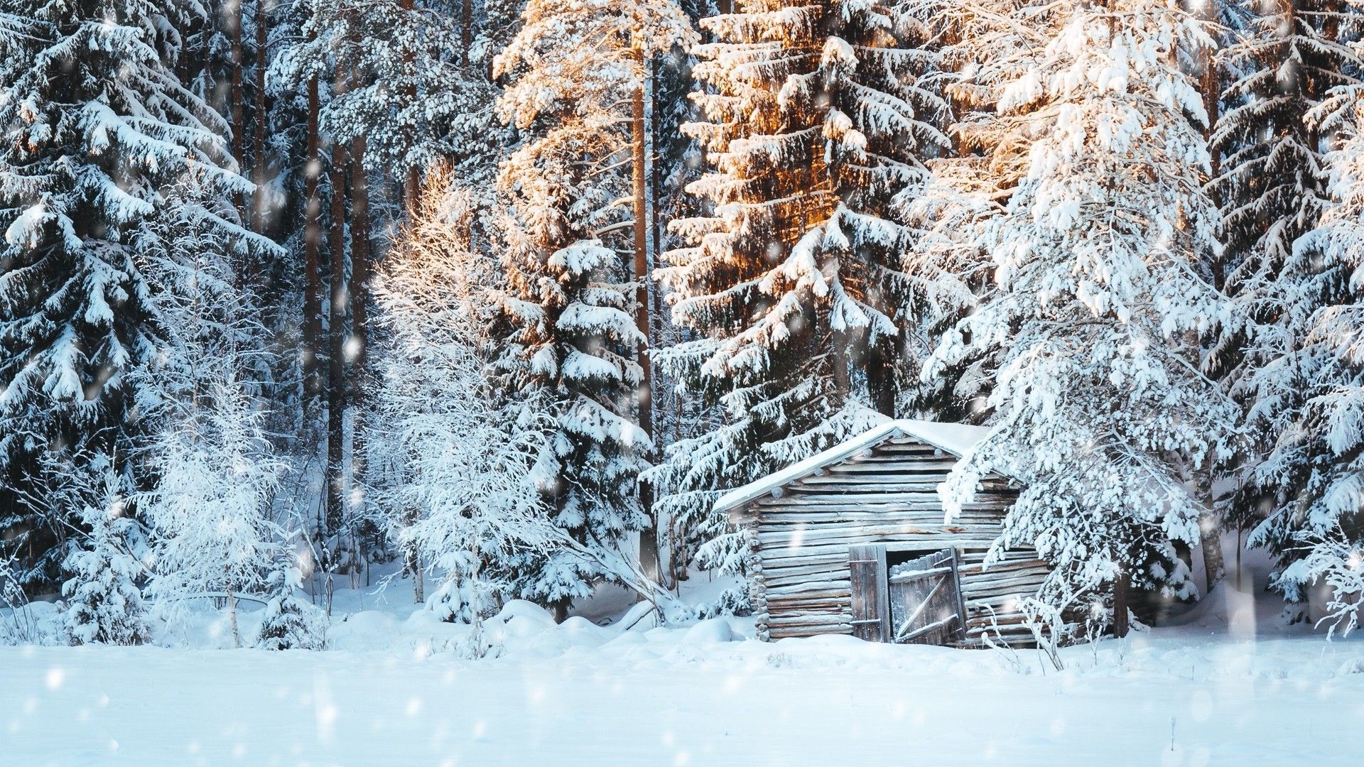 1920x1080 snow, trees, winter, snowfall, light