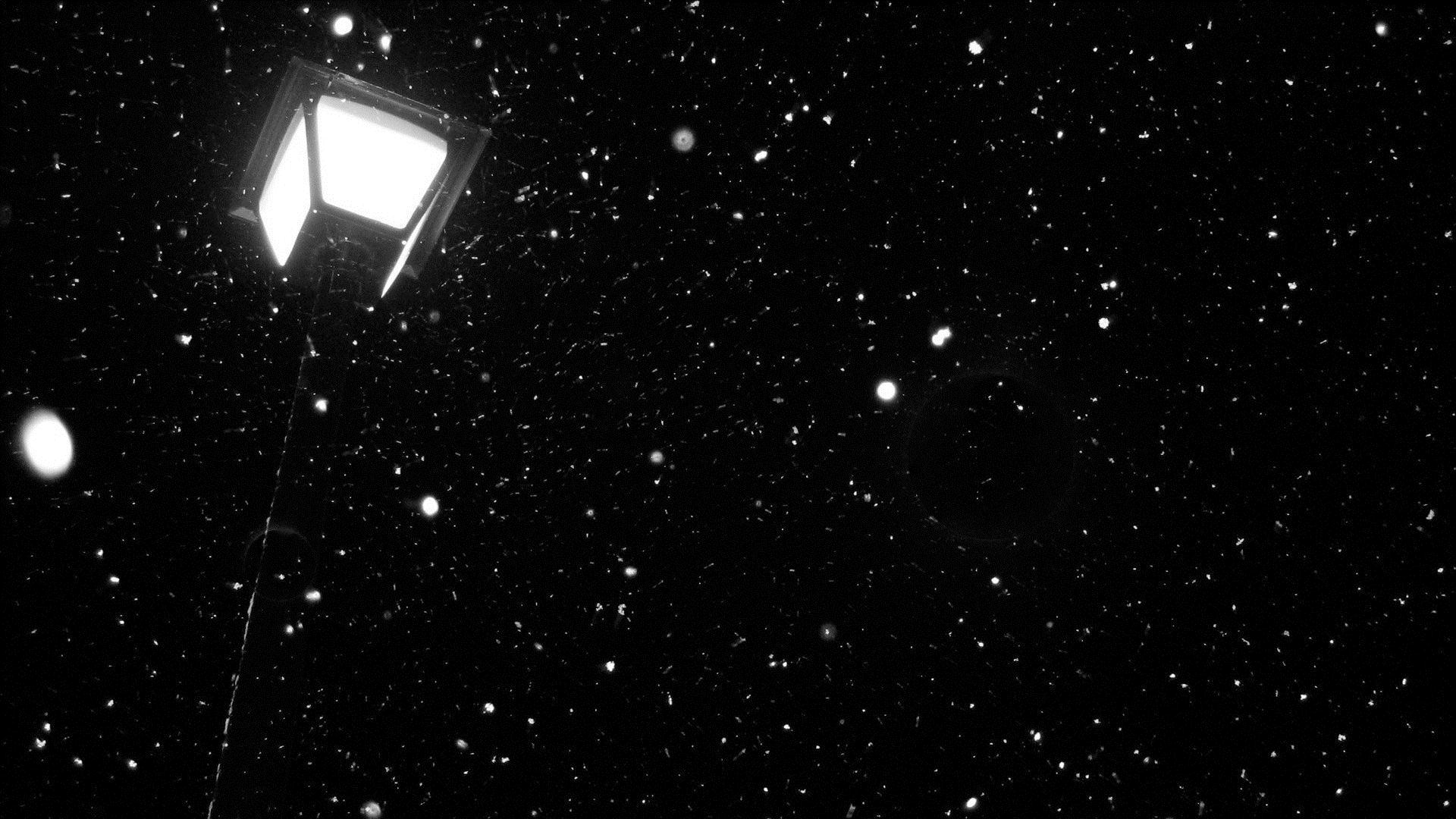 1920x1080 Night Snowfall Wallpaper HD 1920x1080