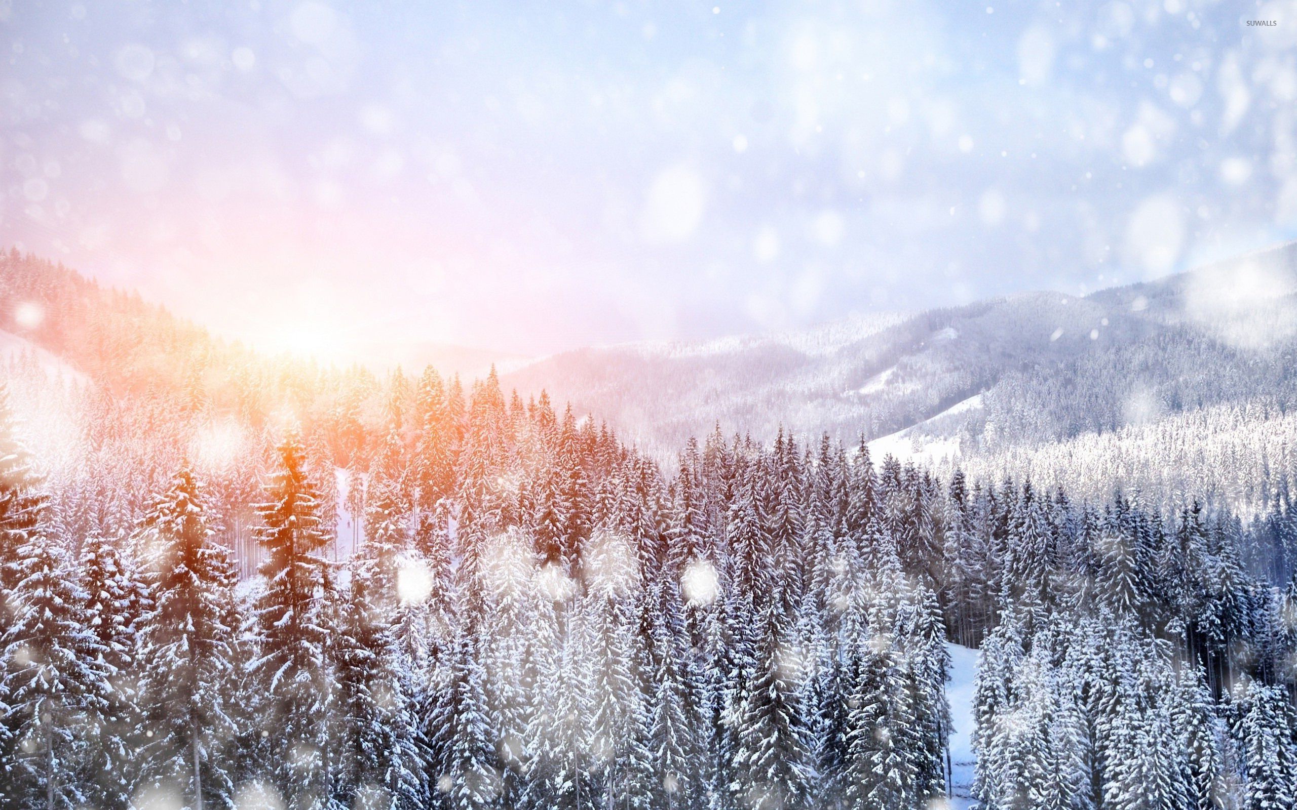 2560x1600 Snowfall over the forest wallpaper