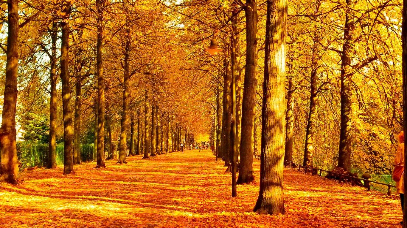 Autumn For Laptop Wallpapers  Wallpaper Cave