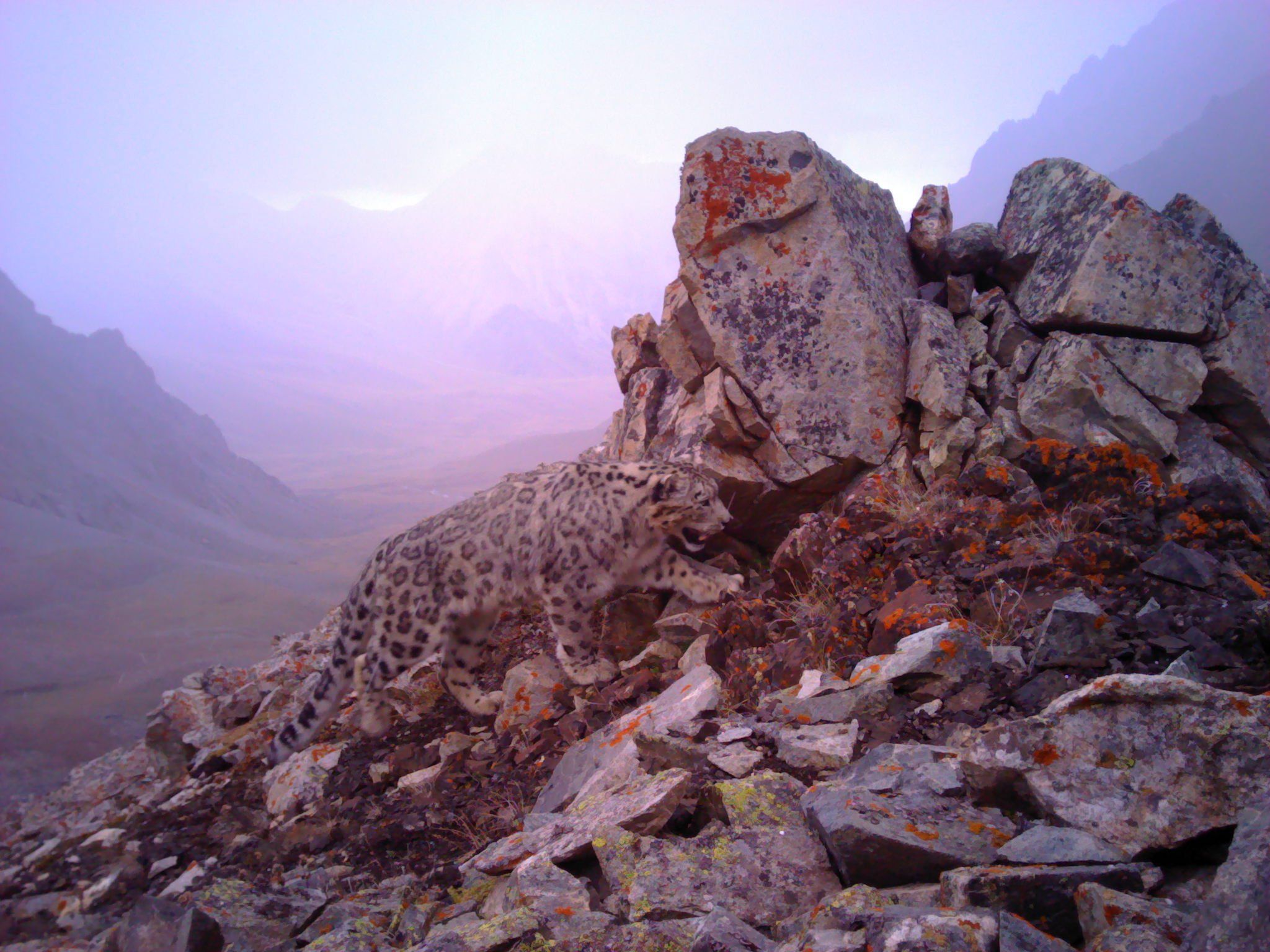 2048x1536 Central Asia