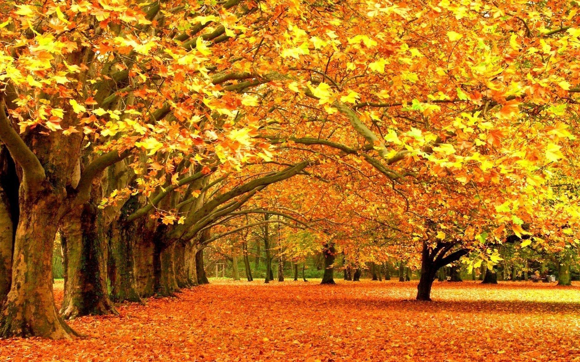 1920x1200 Desktop Fall Wallpaper
