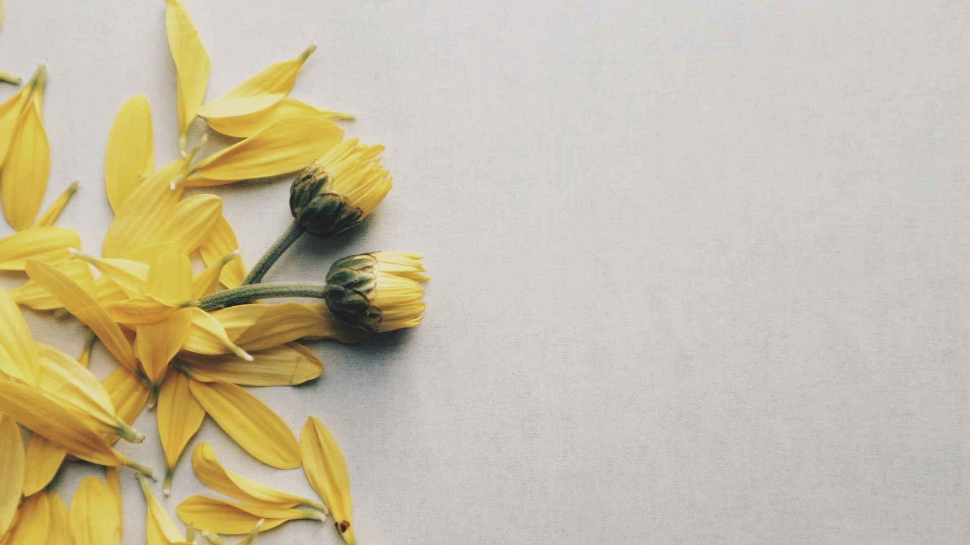 1920x1080 Yellow Aesthetic Wallpaper