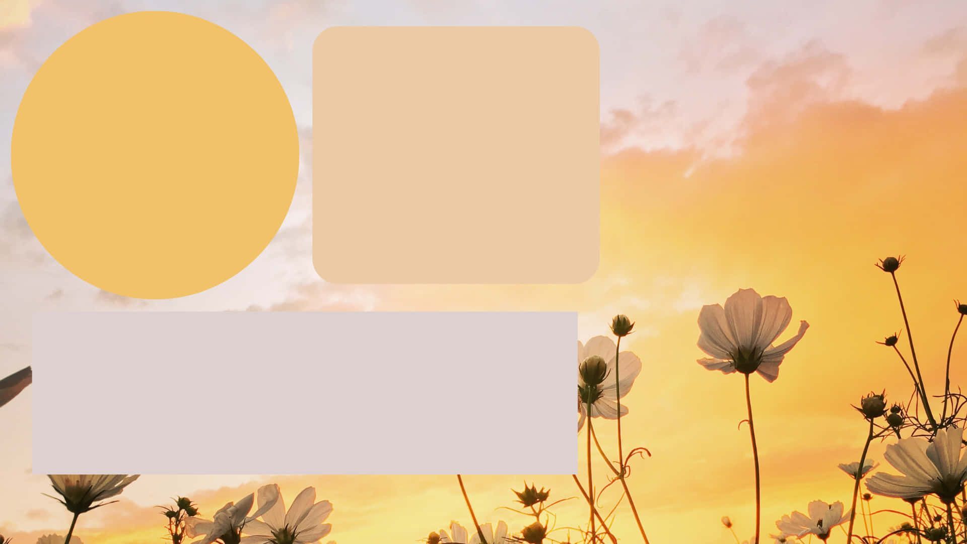 1920x1080 Download Cute Desktop Organizer Yellow