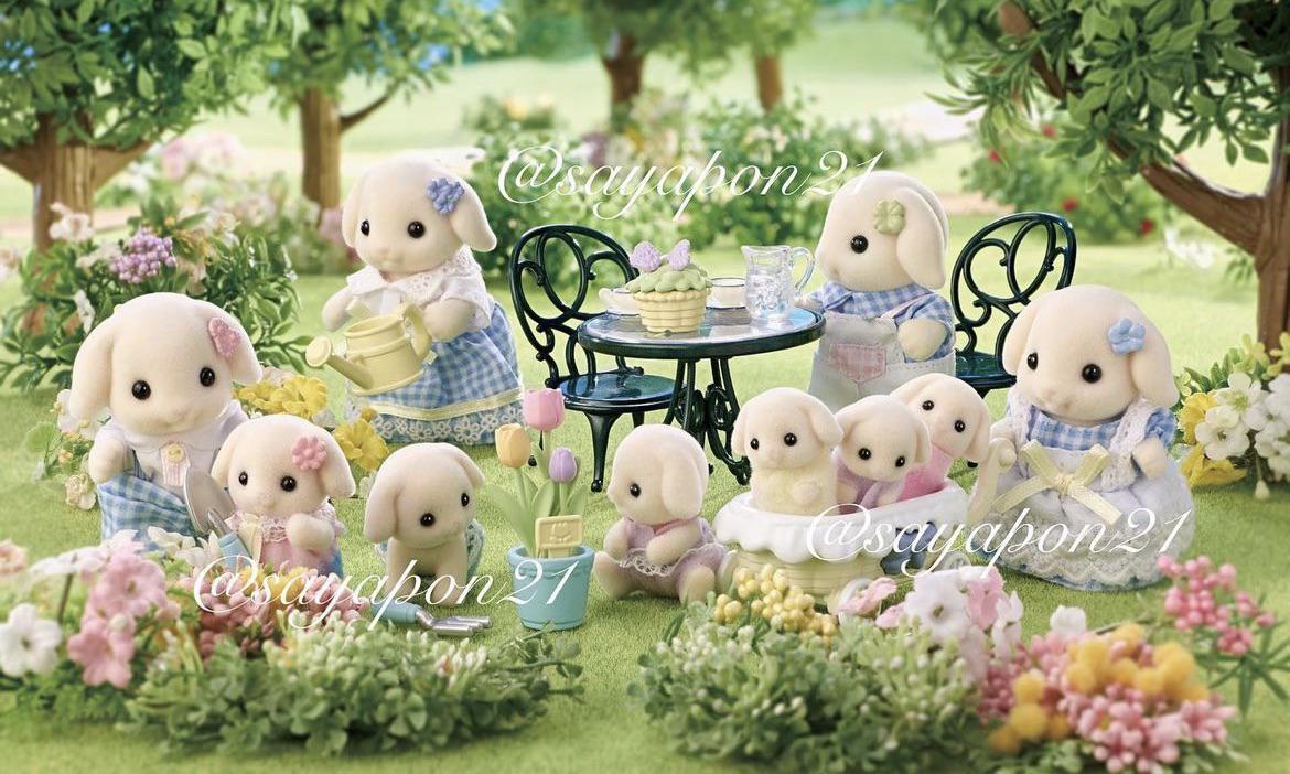 1170x702 Another Flora Rabbit Family pic : r