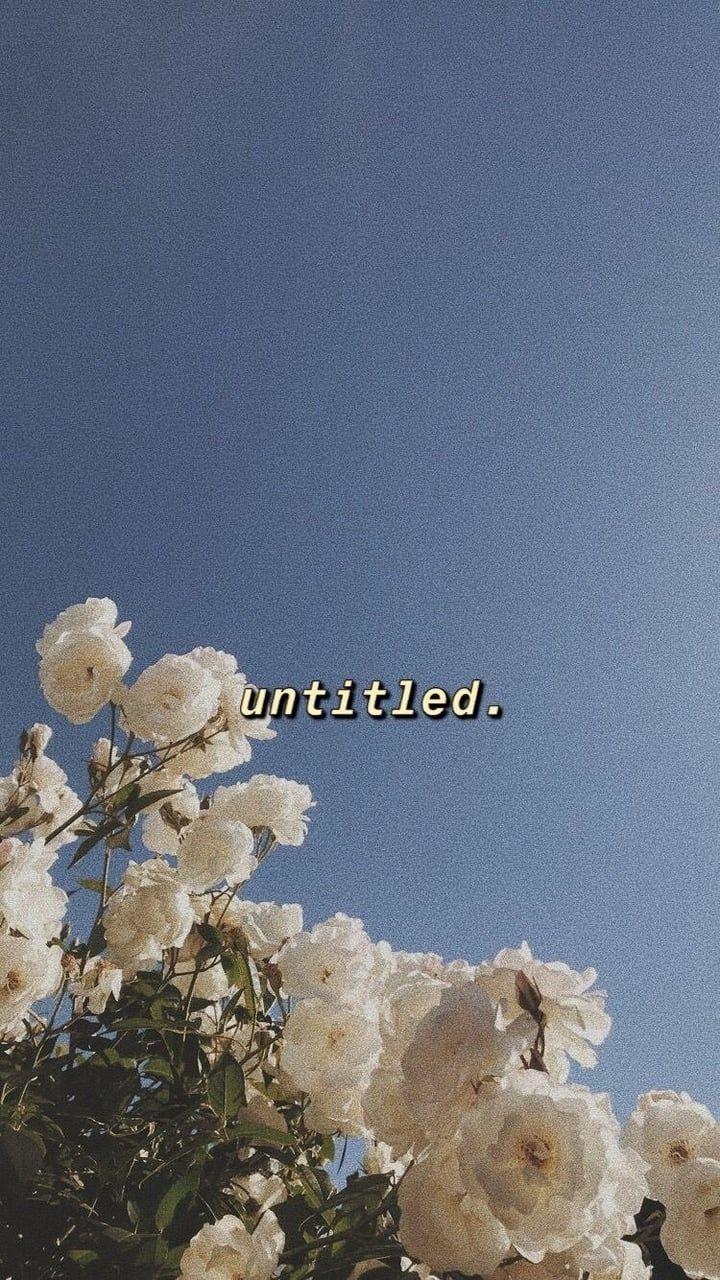 720x1280 Image about cute in Aesthetic ✨