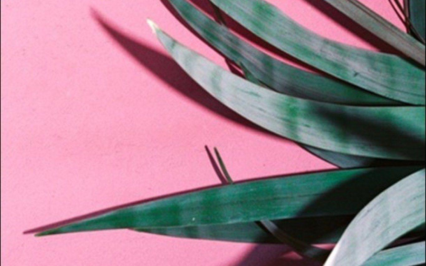 1368x855 Green Aesthetics Wallpaper