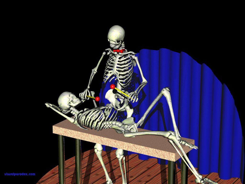 1024x768 Funny Skeleton Wallpaper