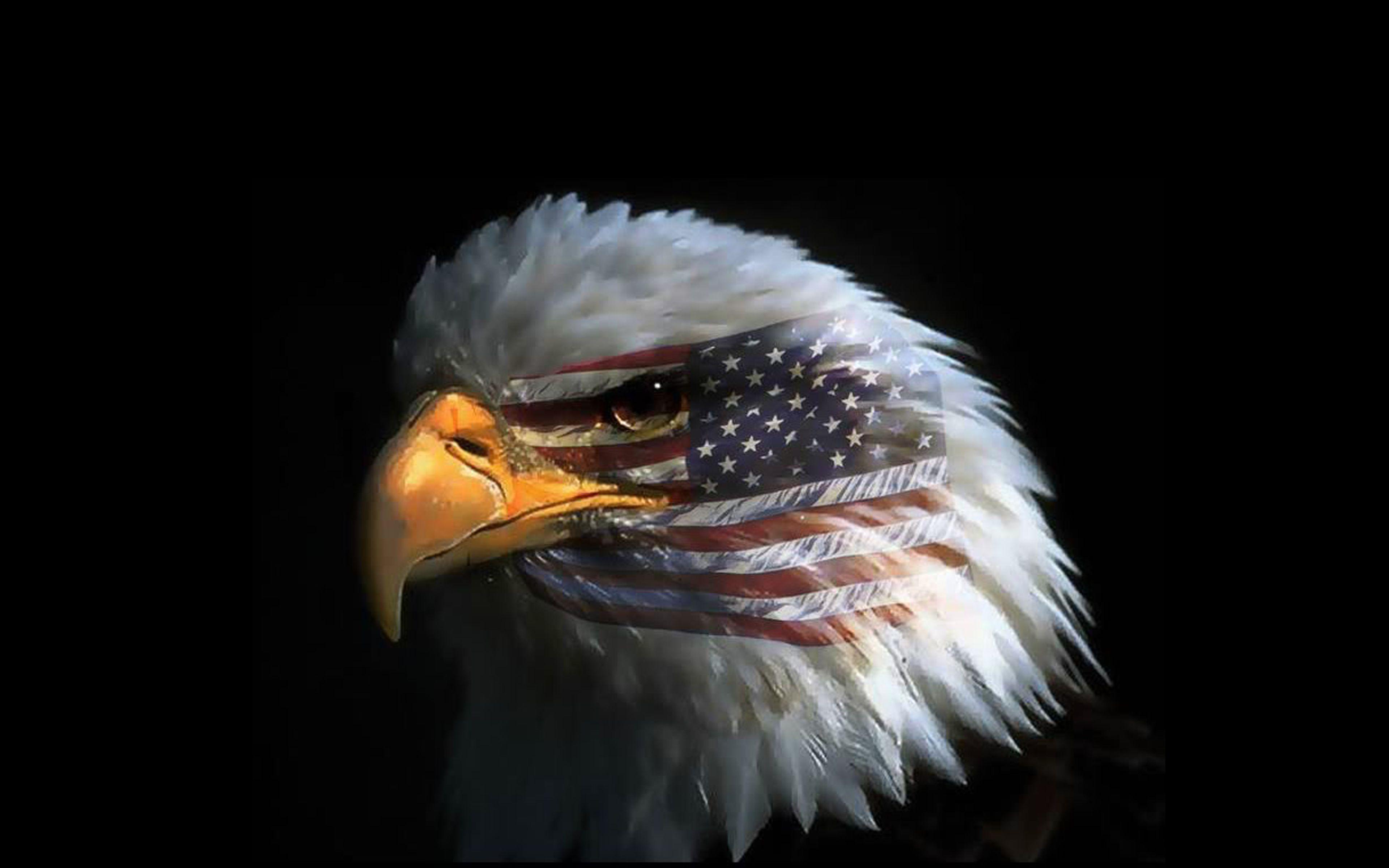American Flag Eagles Wallpapers Top Free American Flag Eagles Backgrounds Wallpaperaccess