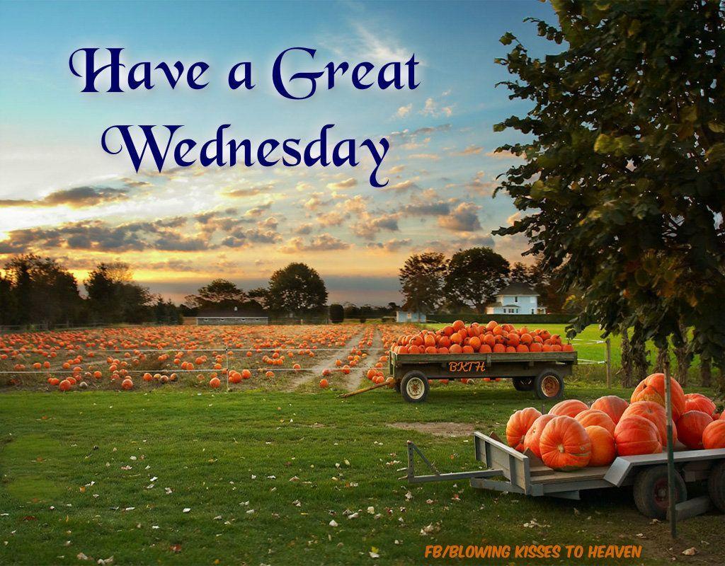 1024x800 Have a great Wednesday. Days of the week. Pumpkin field