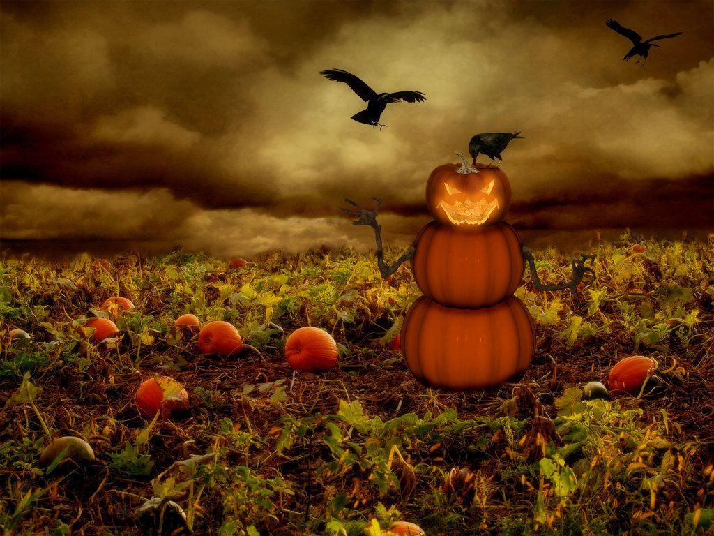 1024x768 Pumpkin Wallpaper. Pumpkin