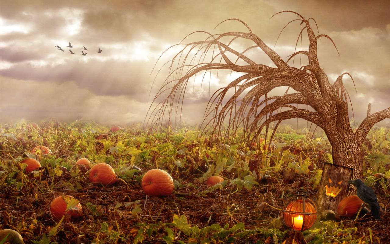 1280x800 Spooky and Fun Halloween Wallpaper