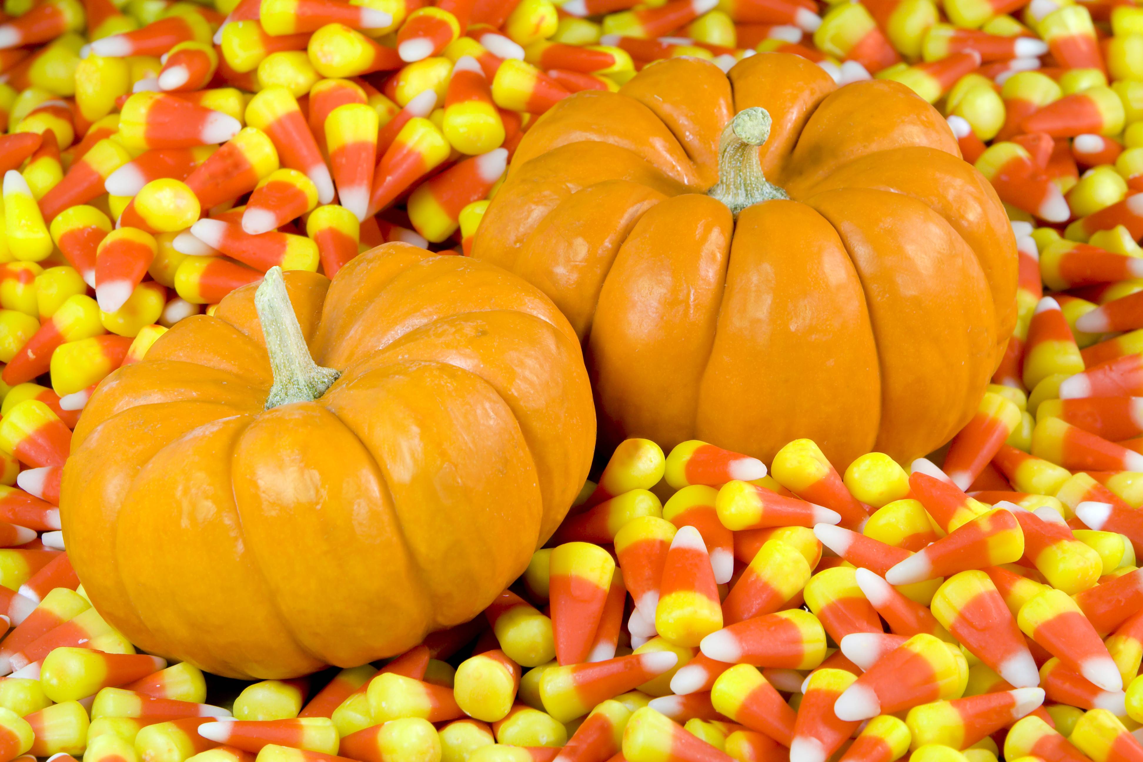 3888x2592 Fall pumpkin picture Gallery