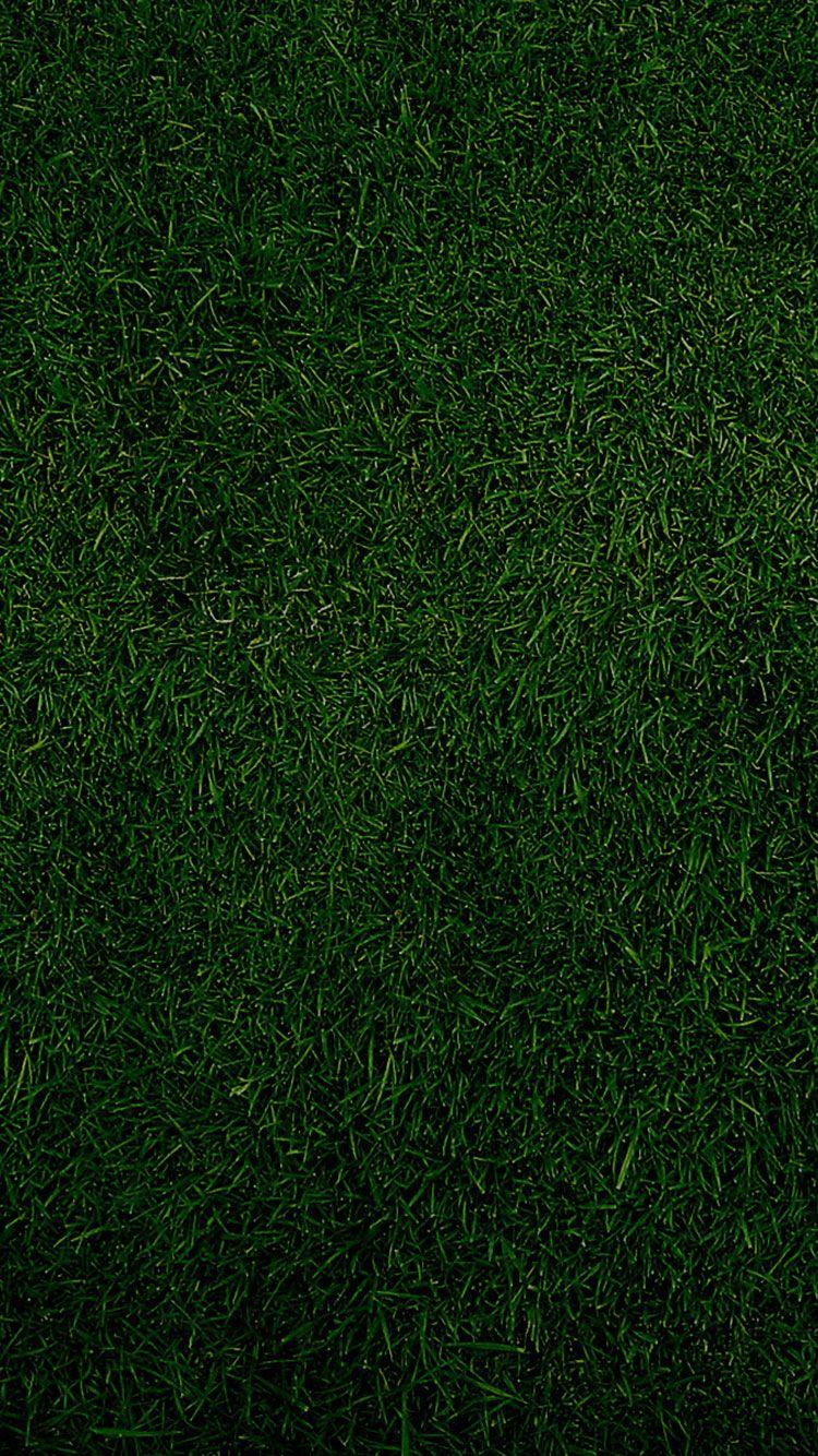 Olive Green iPhone Wallpapers - Top Free Olive Green iPhone Backgrounds