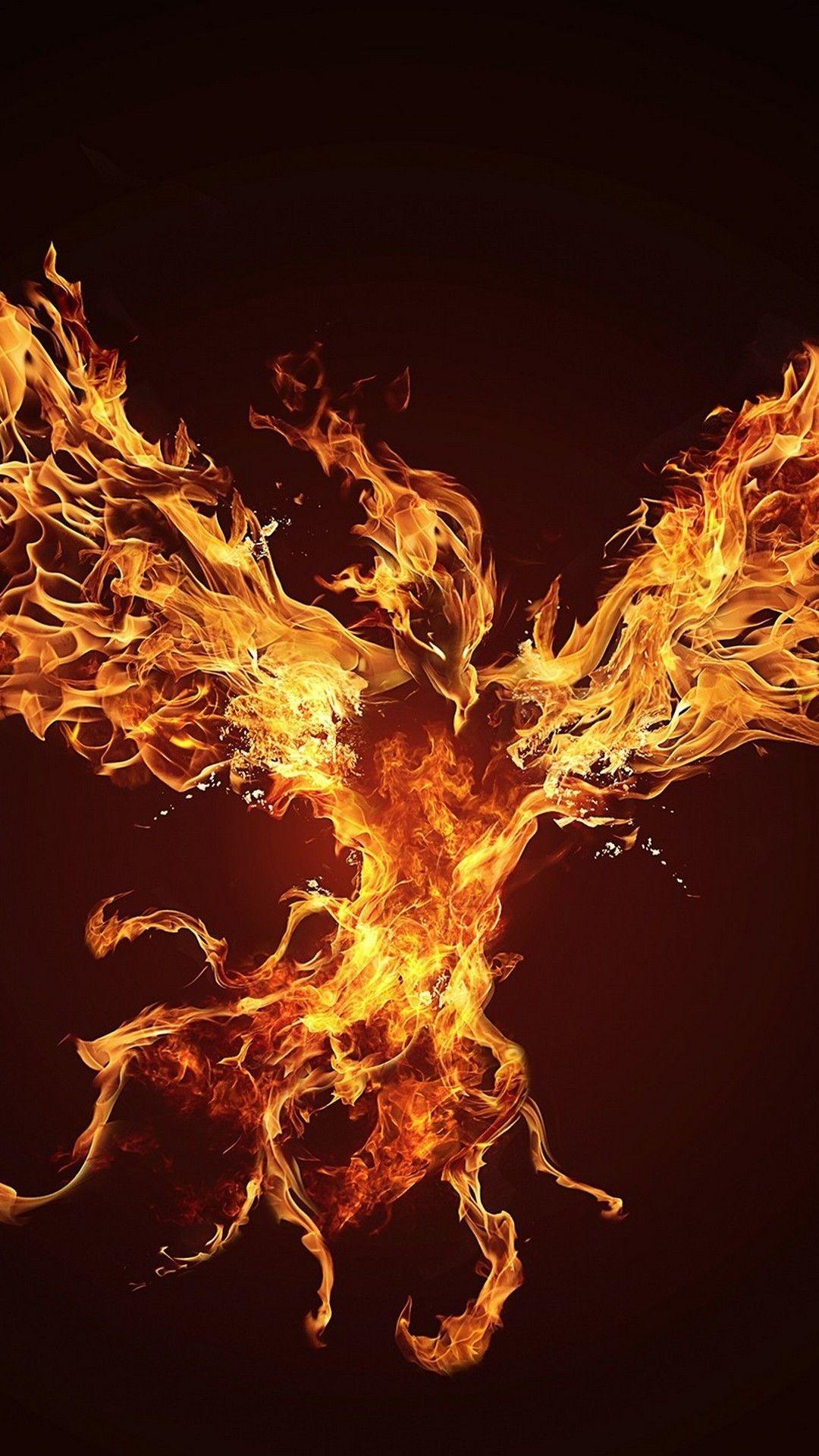 50 Fantasy Phoenix HD Wallpapers and Backgrounds