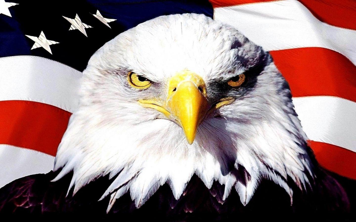 1440x900 American eagle flag pics wallpaper