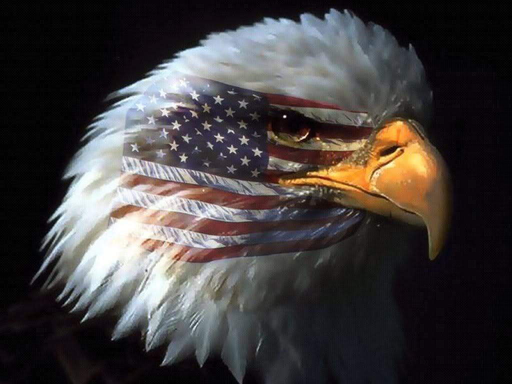 1024x768 American Eagle Wallpaper