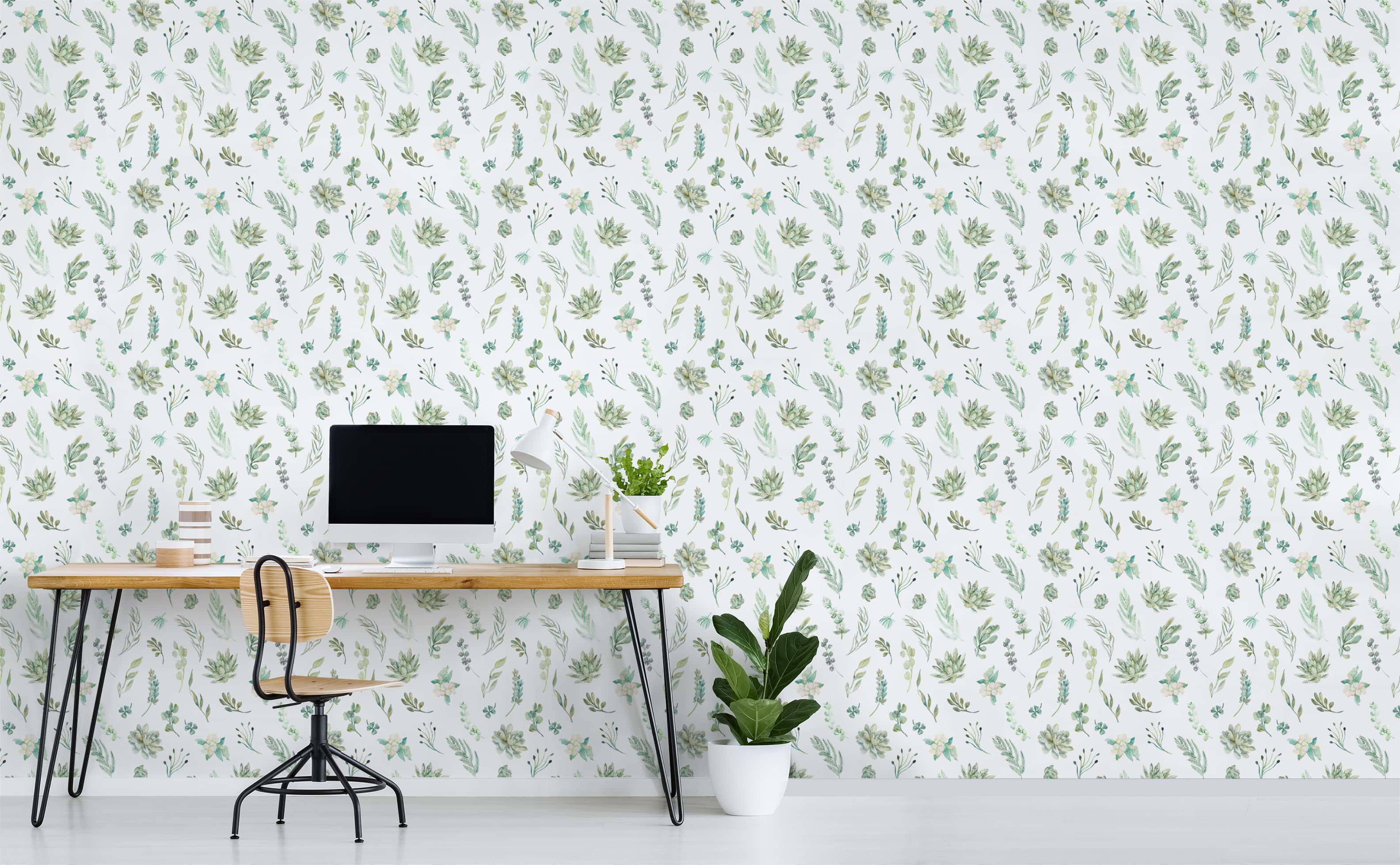 3168x1958 Cute watercolor botanical succulent