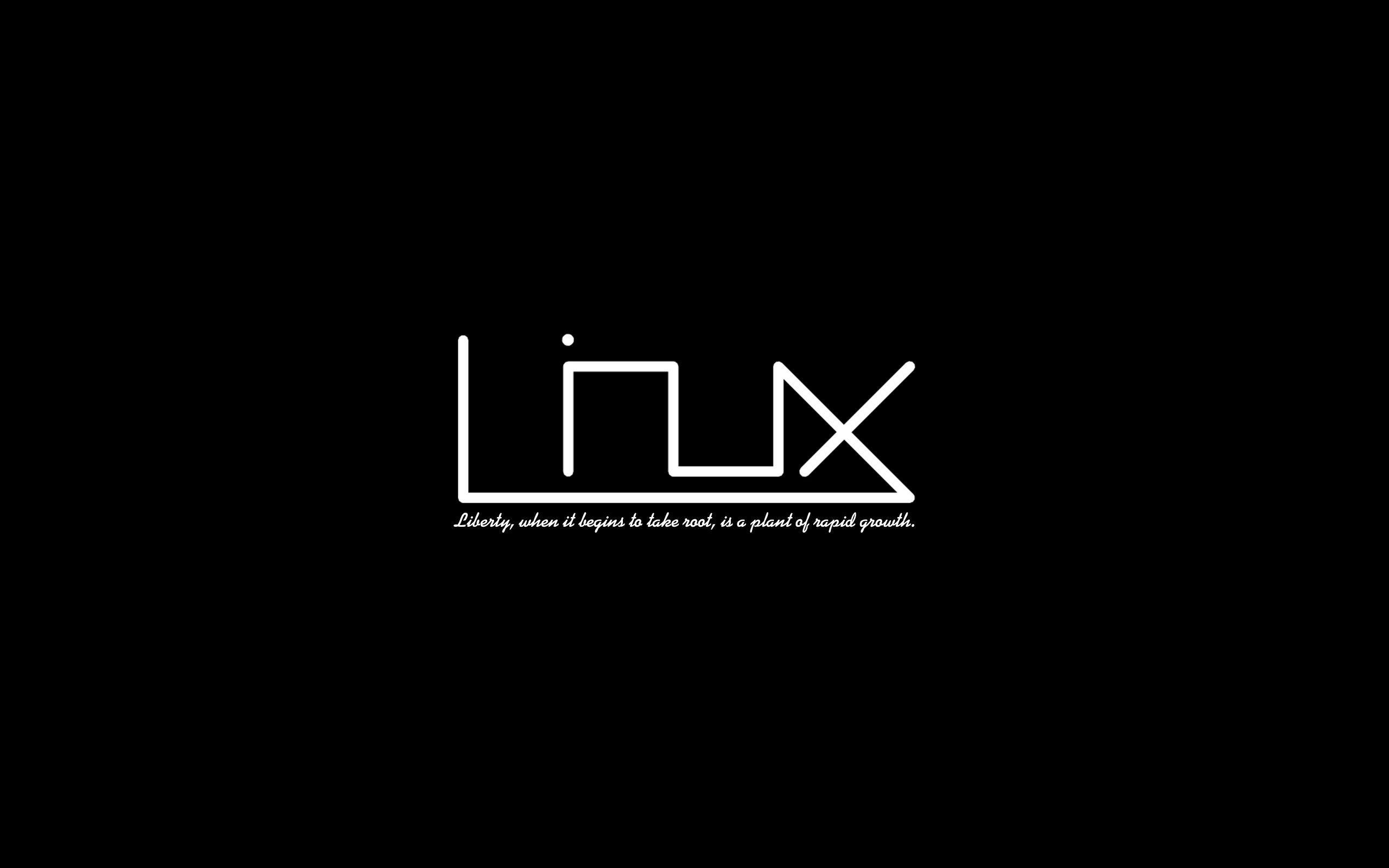 2560x1600 Linux Ubuntu Wallpaper. Art. Linux mint, Linux
