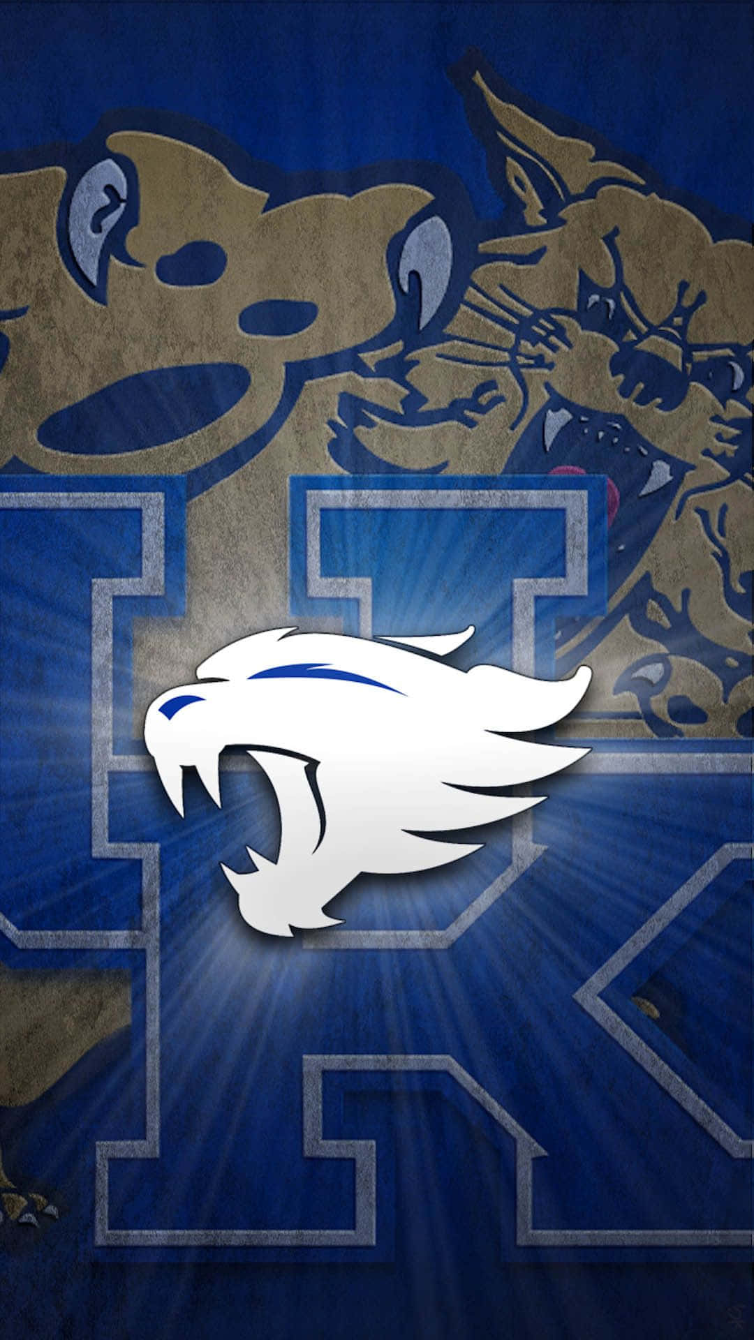 1080x1920 Kentucky Wildcats Wallpaper