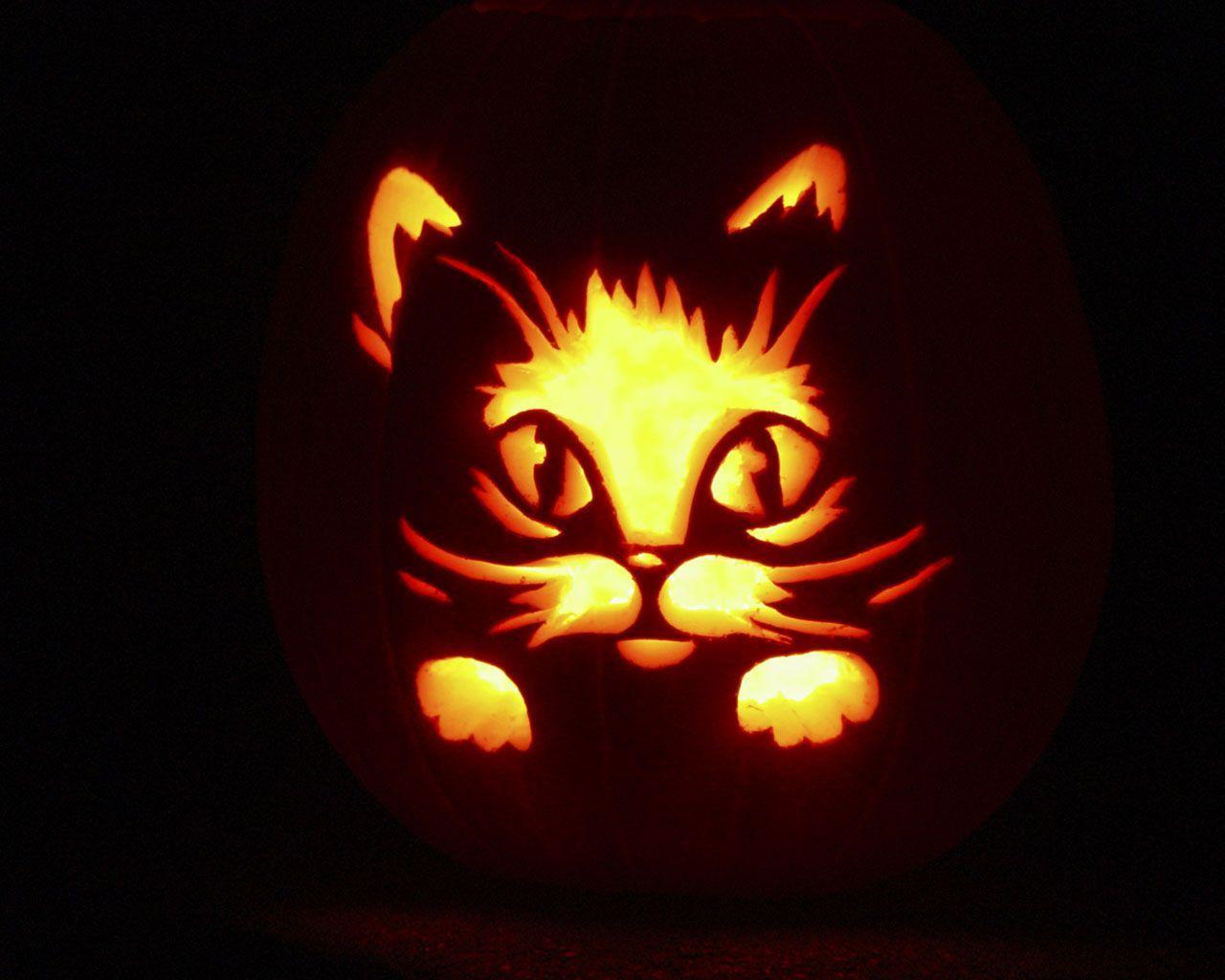 1280x1024 Halloween Cats Wallpaper