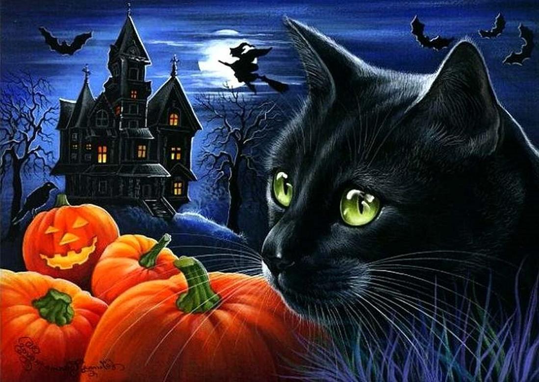 Black Cat Halloween halloween kitty pumpkin HD wallpaper  Pxfuel