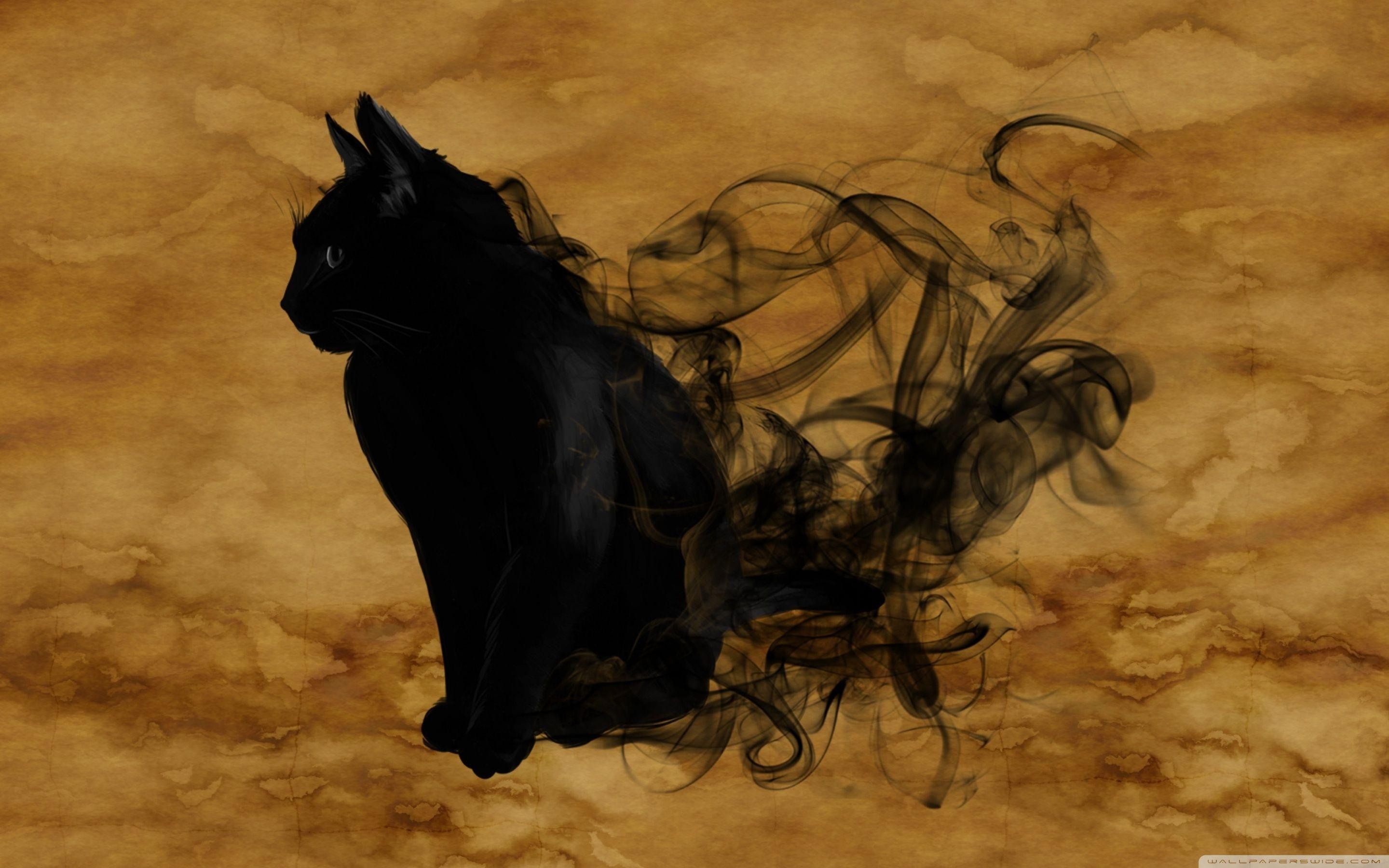2880x1800 Halloween black cat wallpaper Gallery