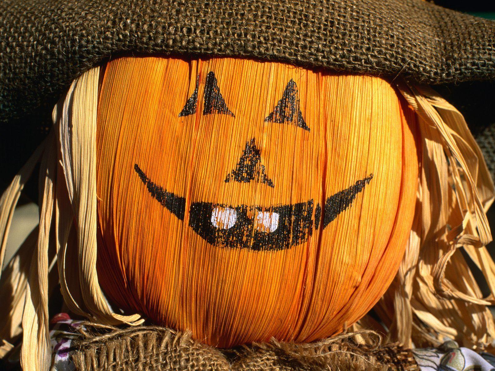 1600x1200 Funny Halloween pumpkin Wallpaper Halloween Holidays