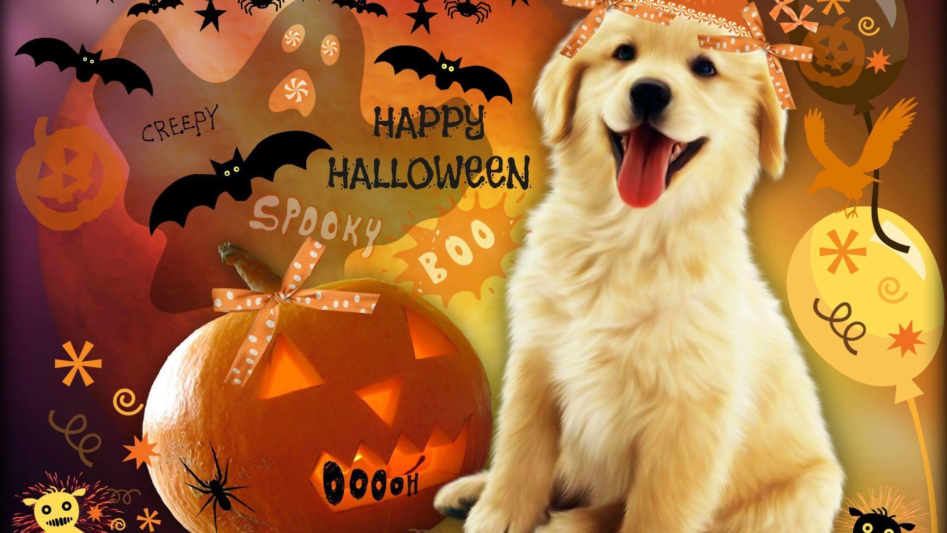 Cute Puppy Halloween Wallpapers