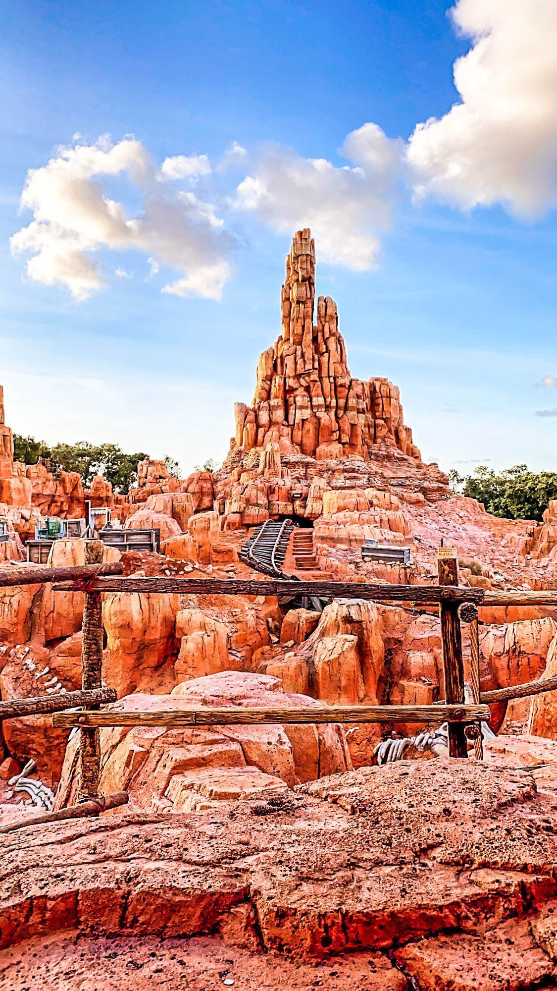 1125x2000 Walt Disney World's Magic Kingdom