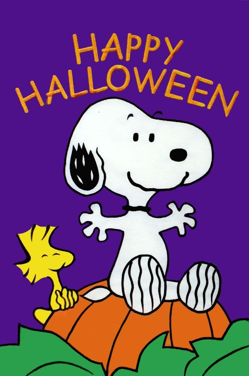 800x1207 Snoopy & Woodstock Happy Halloween wish iPhone