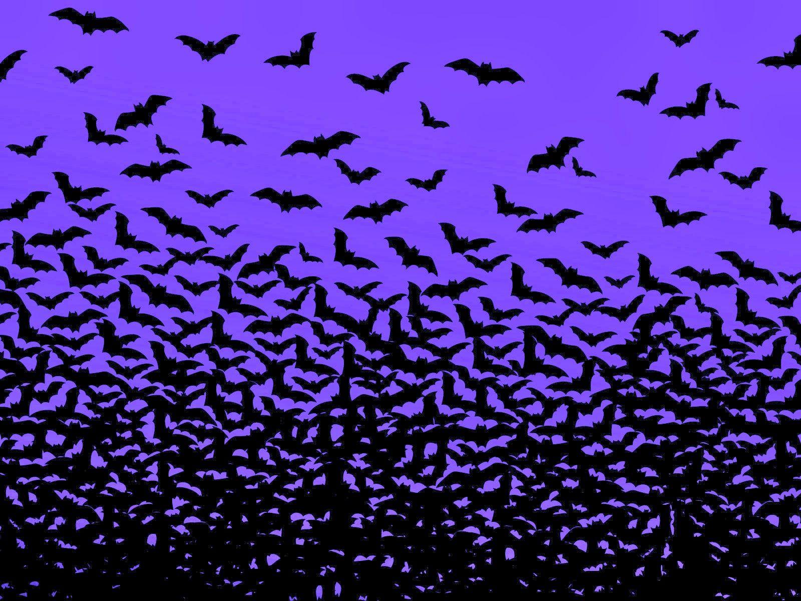 1600x1200 Bat Wallpaper
