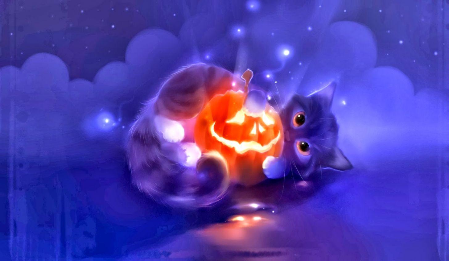 1456x846 Halloween Cat HD Wallpaper