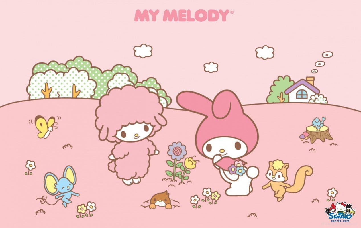 1267x800 My Melody Wallpaper Desktop