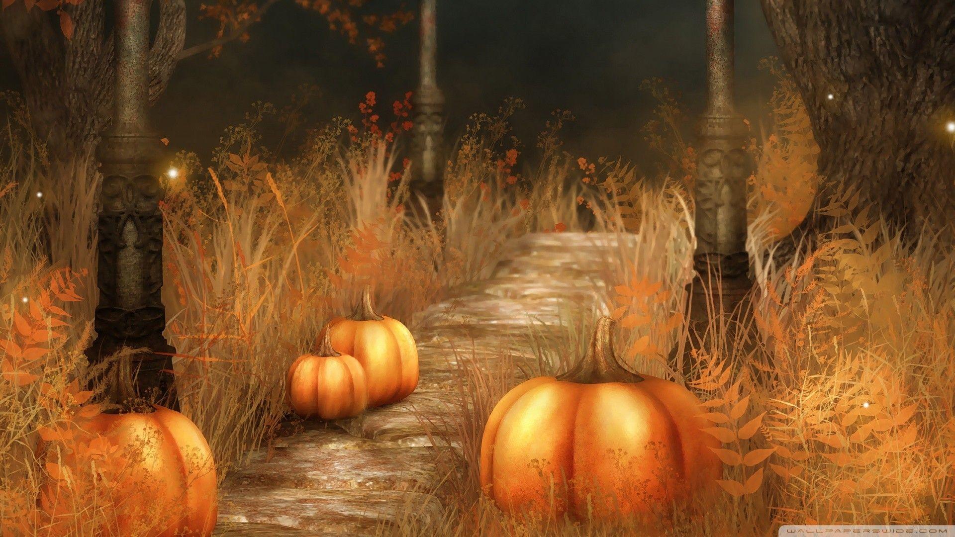 1920x1080 Pumpkins Wallpaper for Desktop