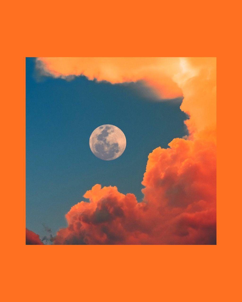 1024x1280 
