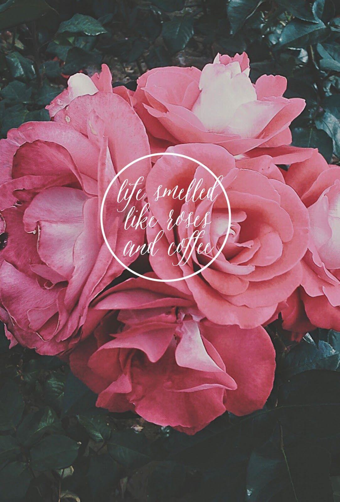 1084x1600 forest rose wallpaper