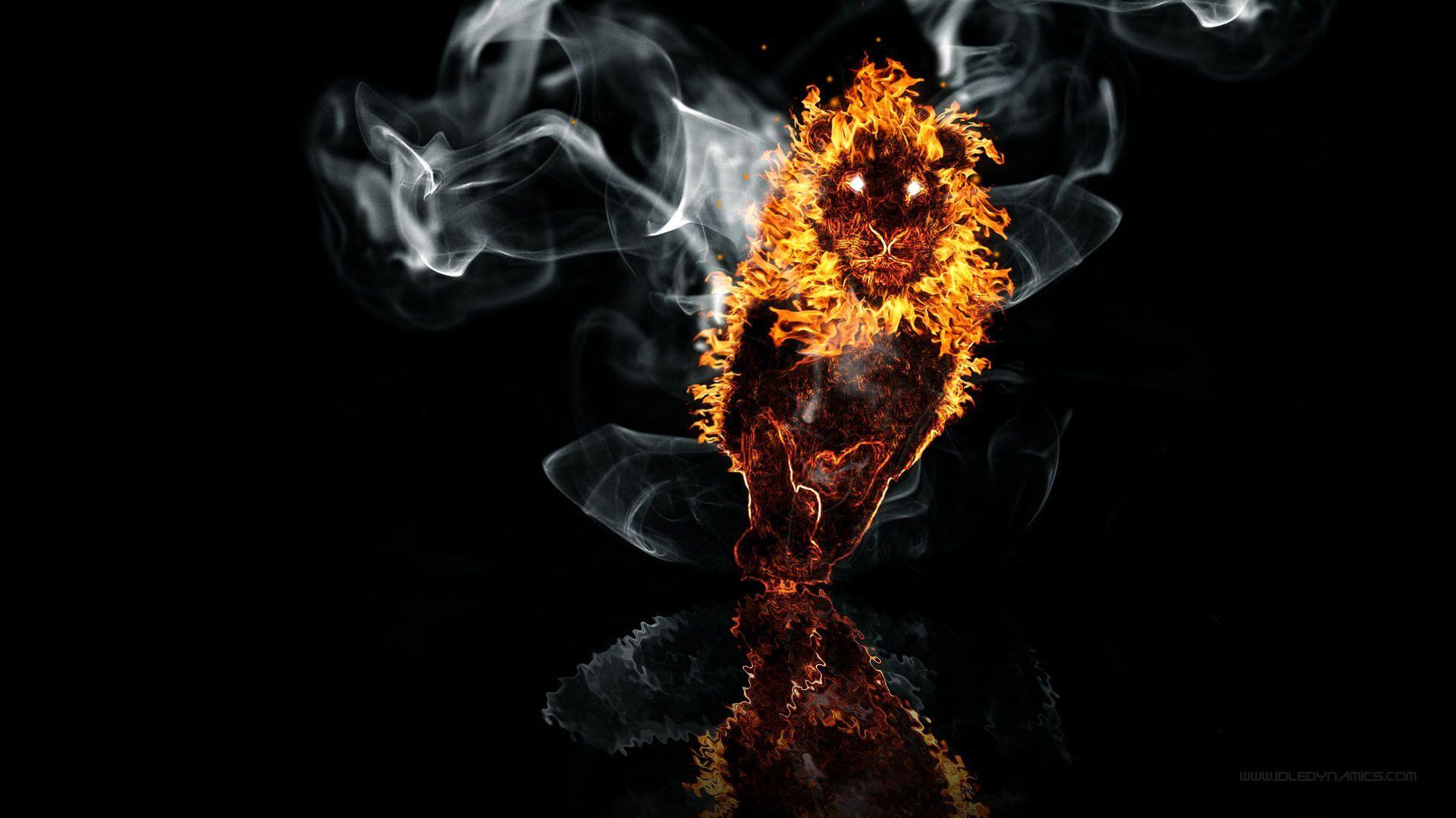 1920x1080 Lion Fire On The Water HD Wallpaper. Background