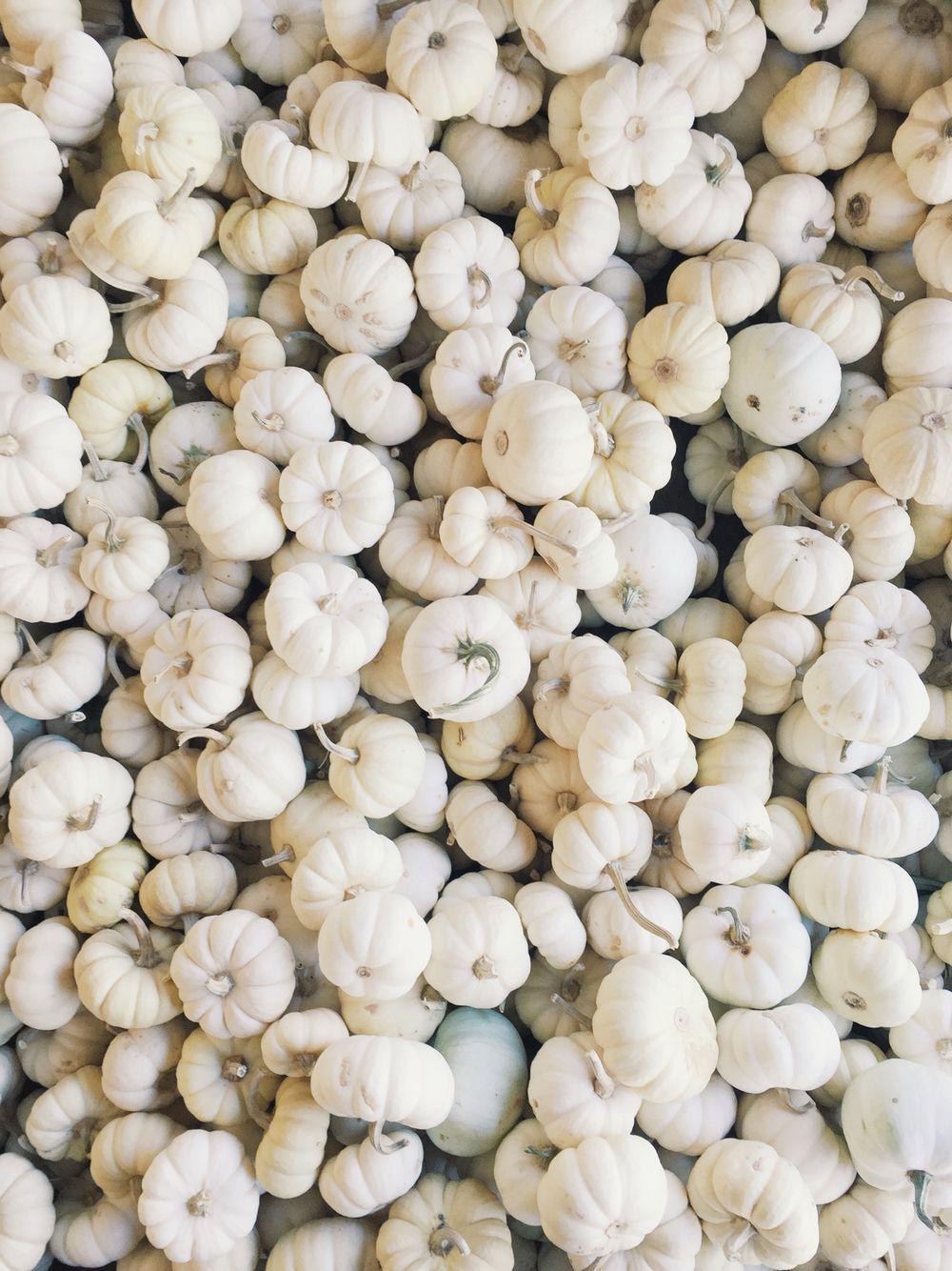 1000x1334 White pumpkin iphone wallpaper #fall. Fall