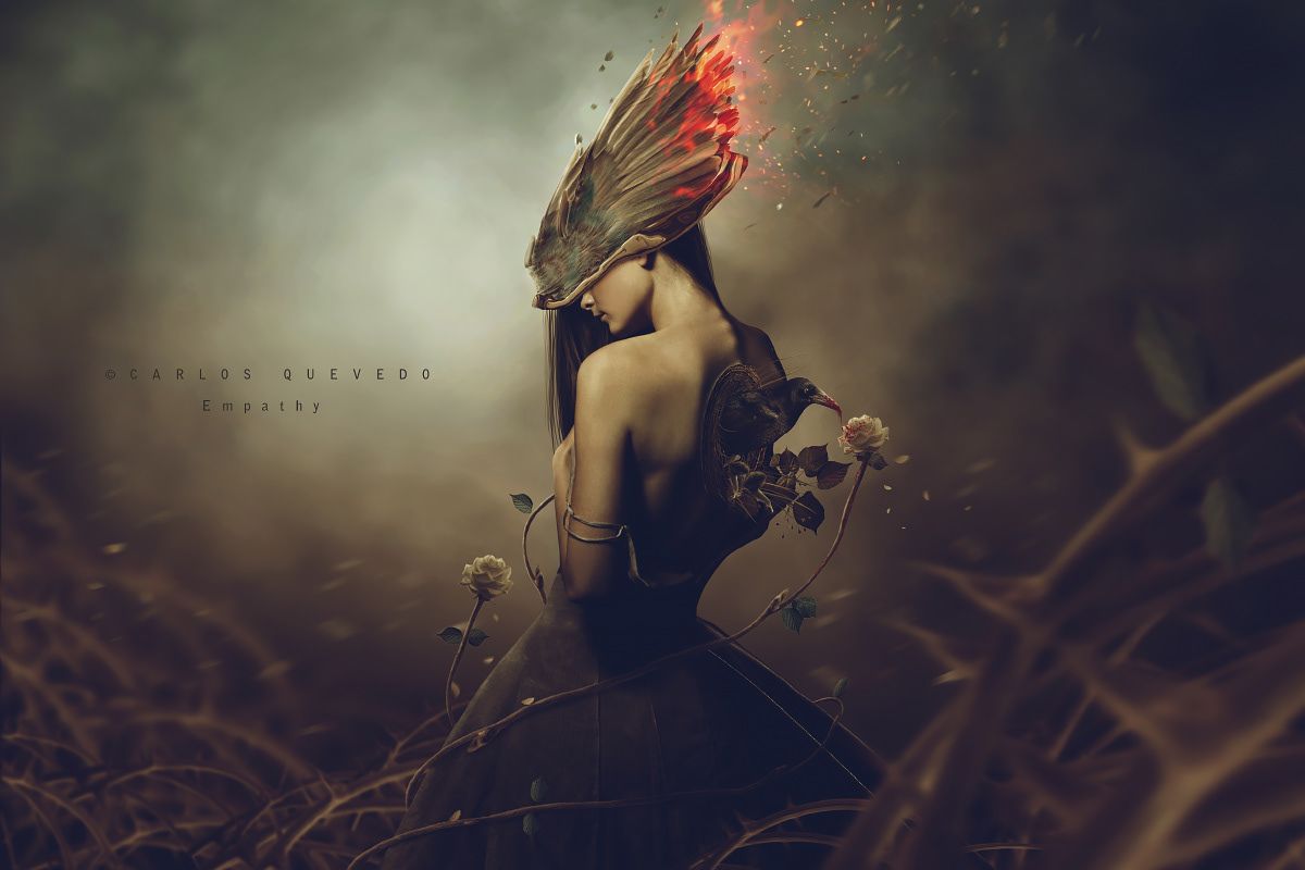 1200x800 Carlos Quevedo / Reverie