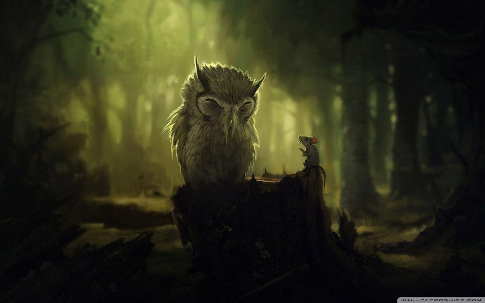 1680x1050 Fantasy Owl hình nền và hình nền