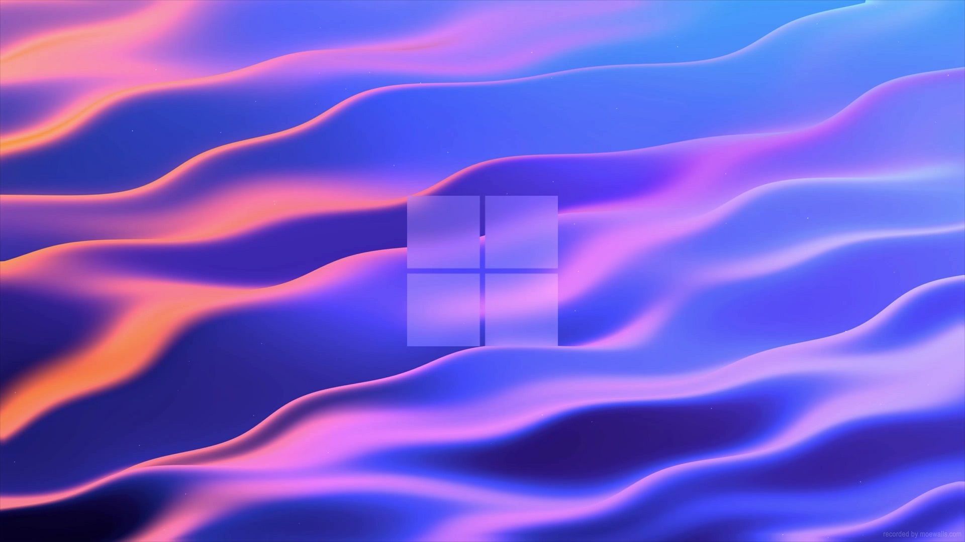 1920x1080 Waves Windows Logo Live Wallpaper