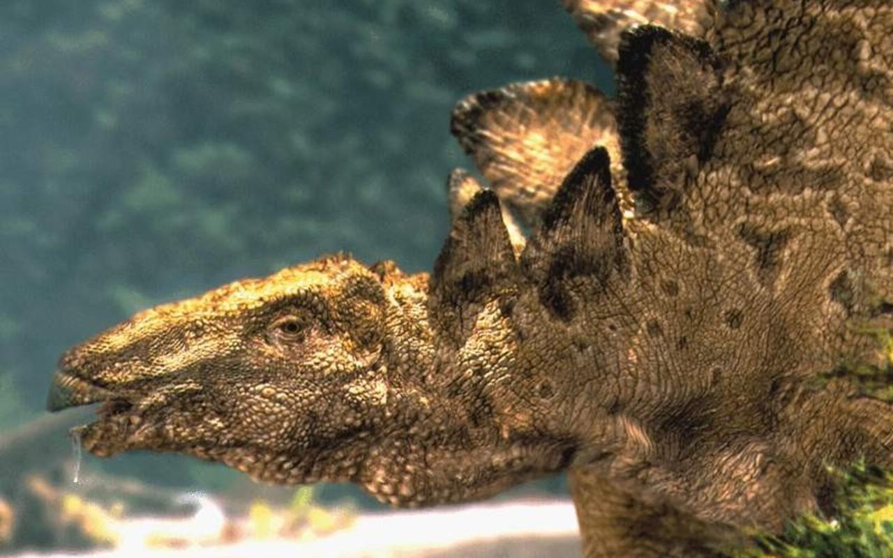 1280x800 Dinosaurs Wallpaper Free Desktop Wallpaper, Cool