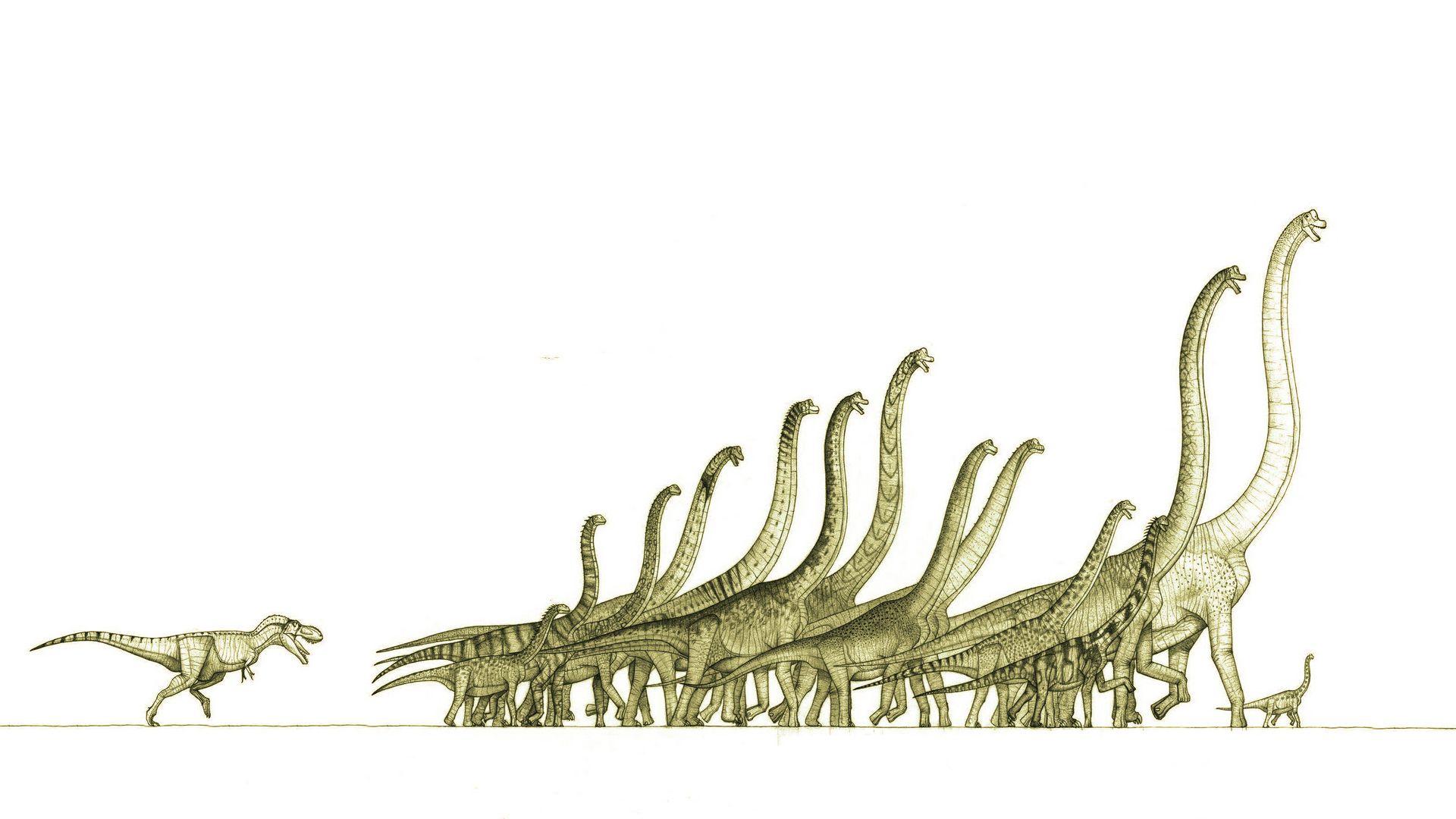 1920x1080 Dinosaurs HD Wallpaperx1080