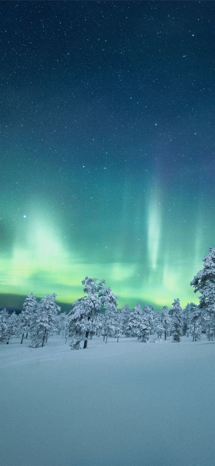 736x1592 Free download the finland night aurora