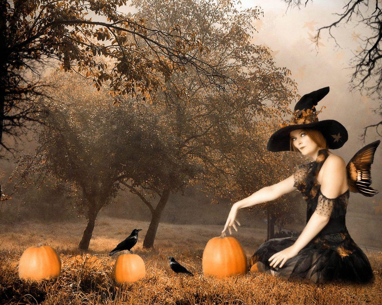 1280x1024 Free download Halloween Witch Desktop Background Image
