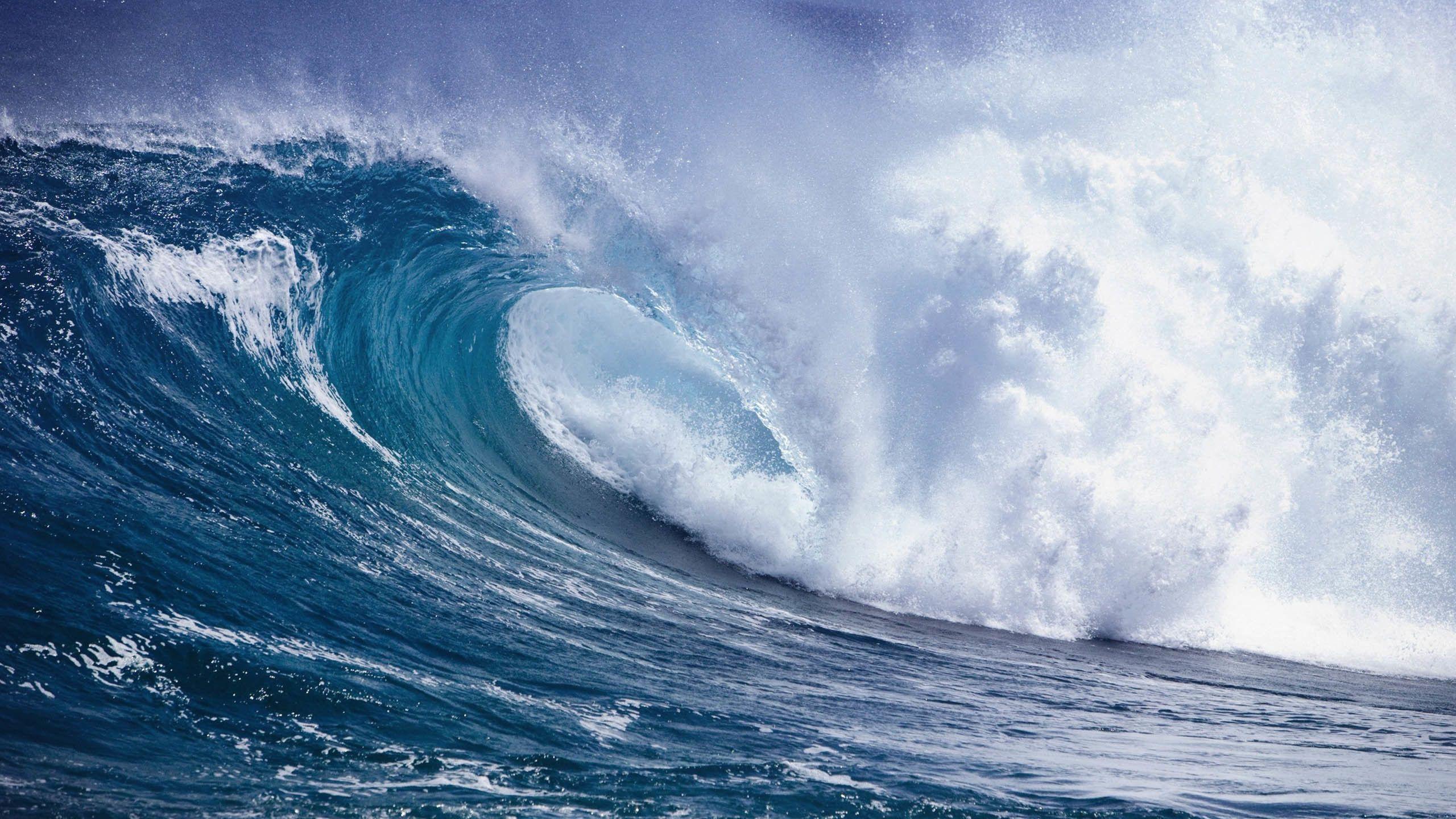 2560x1440 Tsunami Wallpaper