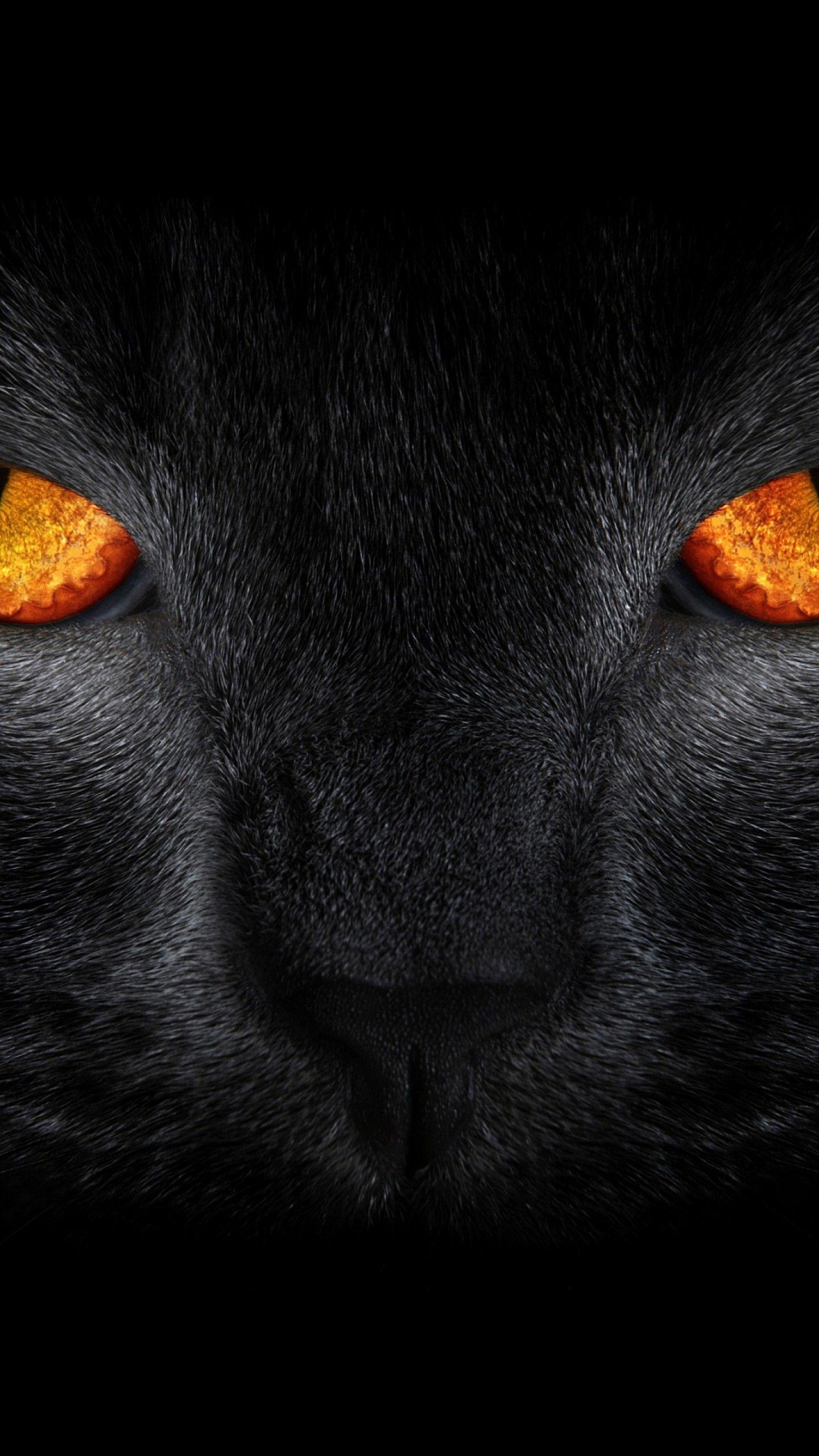 1440x2560 Wallpaper Black Cat, Scary, Yellow eyes, Dark background
