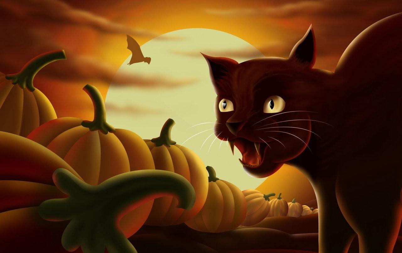 1280x804 Black Cat & Pumpkins wallpaper. Black Cat & Pumpkins stock