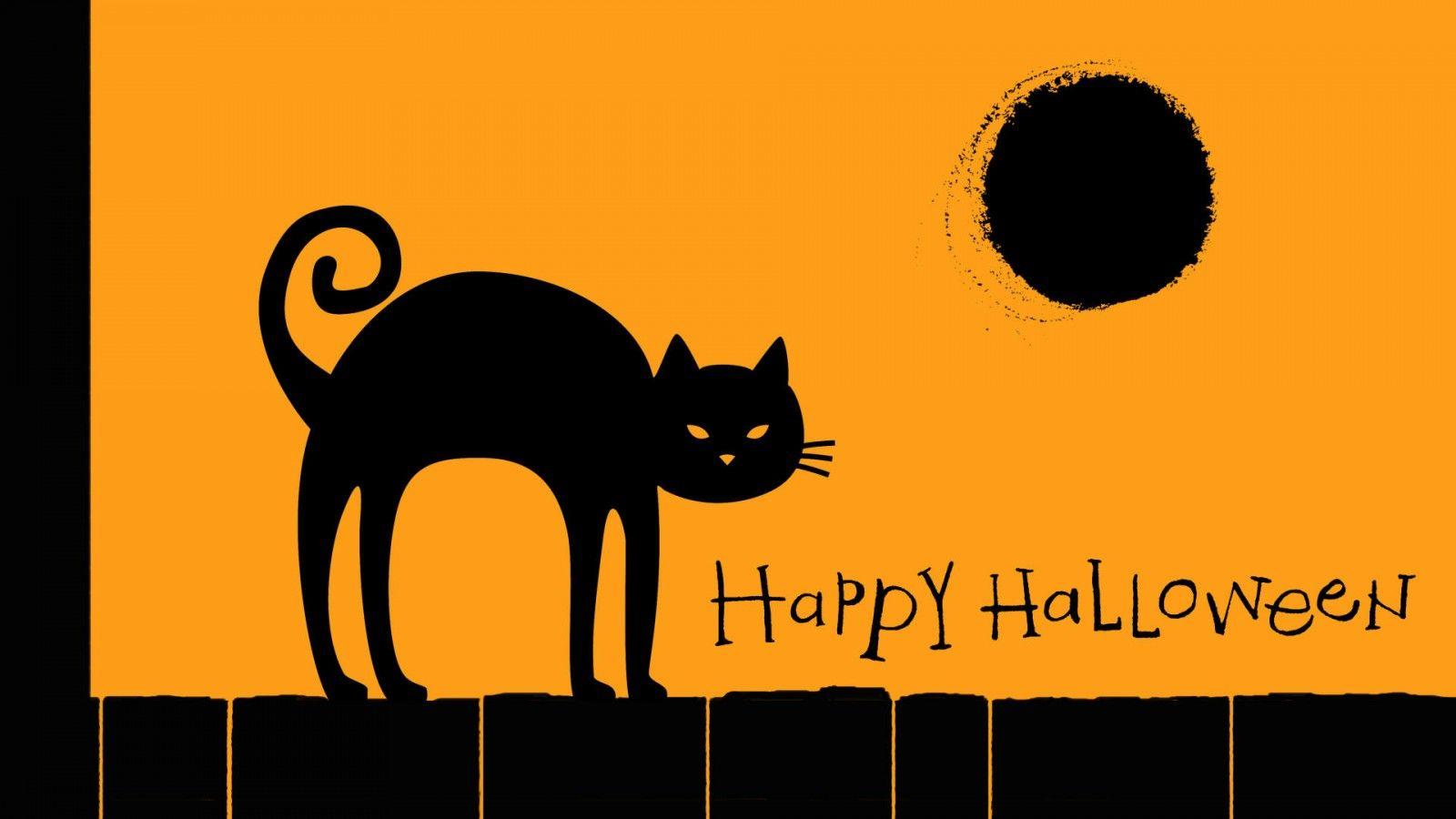 1600x900 Halloween Cat Wallpaper Wallpaper Collections